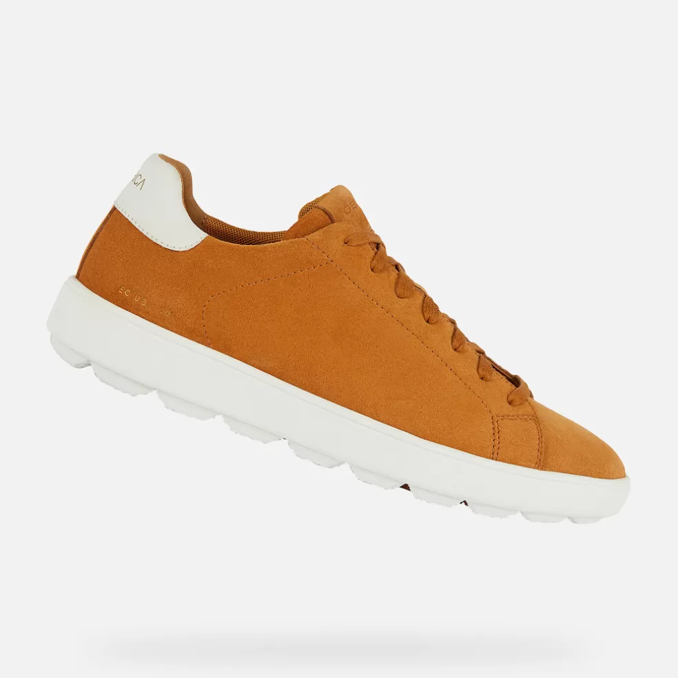 Geox SPHERICA ECUB-1 HOMEM - SNEAKERS de homem ocre Best Sale