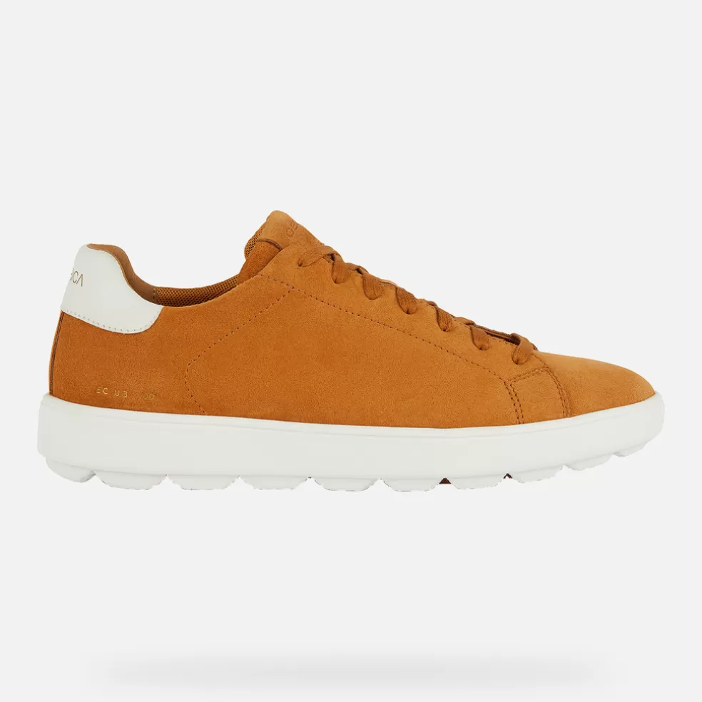 Geox SPHERICA ECUB-1 HOMEM - SNEAKERS de homem ocre Best Sale